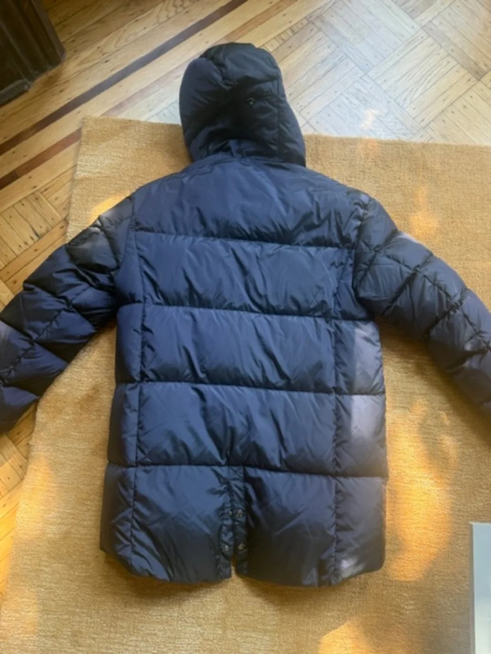 Bogner nwt jones